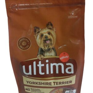 Ultima Yorkshire Terrier de pollo
