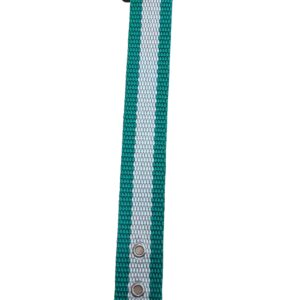 Collar nylon bandera Andalucía.